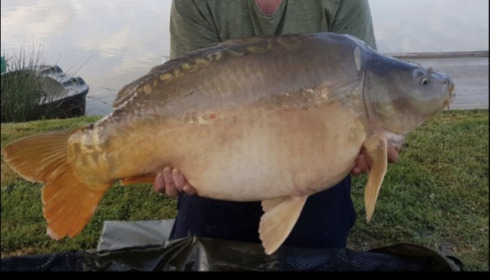 A 35 lb carp from Landes, Derek seager, Aug 2019