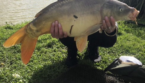 A 20 lb carp from Landes, E Hogarth, Mar 2018