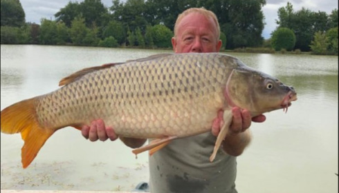A carp from Landes, Michael OHara, Aug 2019