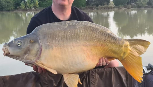 A fish from Landes, Oct 2022