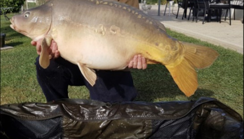 A 36 lb carp from Landes, Derek seager, Aug 2019