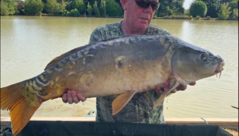 A carp from Landes, Michael OHara, Aug 2019