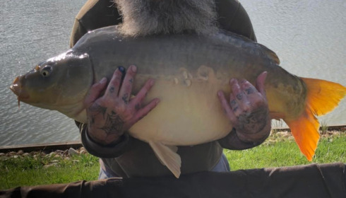 A 40 lb carp from Landes, Lee, Mar 2022