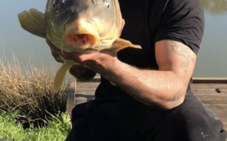A 36 lb 5 oz carp from Landes, Jemal Hussein, Mar 2018