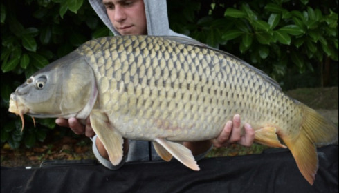 A carp from Landes, Fletcher Family, Aug 2019