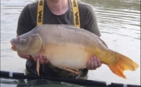 A 31 lb 3 oz carp from Landes, Will, Oct 2019
