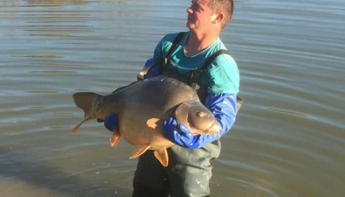 A carp from Landes, Jan 2018