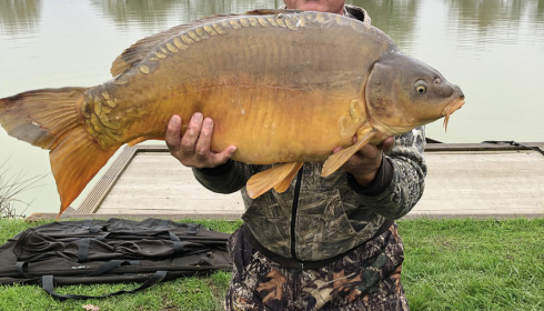 A carp from Landes, Additional Stocking, Dec 2021