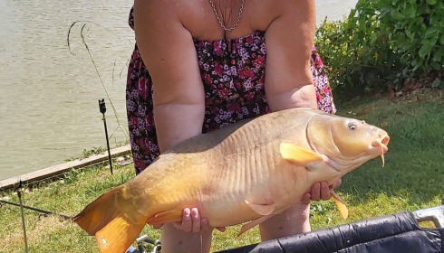 A fish from Landes, Jul 2021