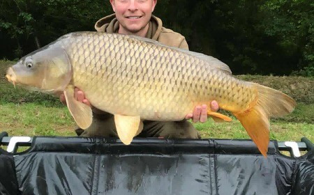 A carp from Landes, May 2018