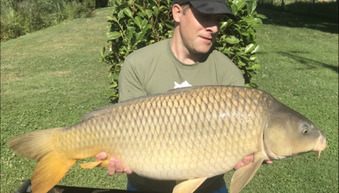 A 27 lb 15 oz carp from Landes, Chris Palmer, Jul 2018