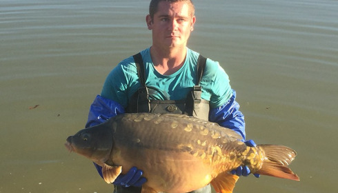 A carp from Landes, Jan 2018