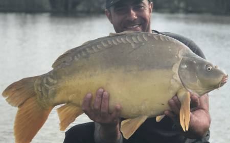 A carp from Landes, Aurora Hogarth-Mctolin, Mar 2018