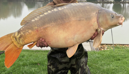 A carp from Landes, Additional Stocking, Dec 2021