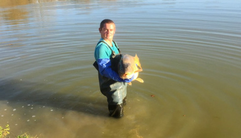A carp from Landes, Jan 2018