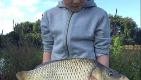 A carp from Landes, Oscar Castle, Jul 2018