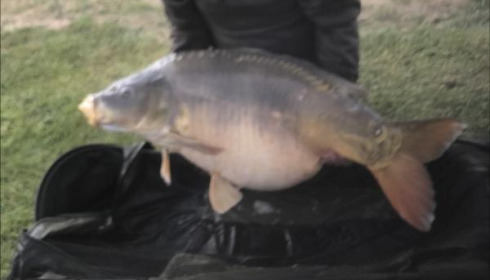 A carp from Landes, Alan Jones, Apr 2019