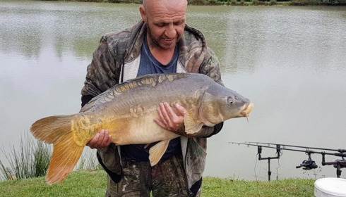 A carp from Landes, Jan 2018