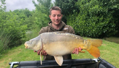 A carp from Landes, May 2018