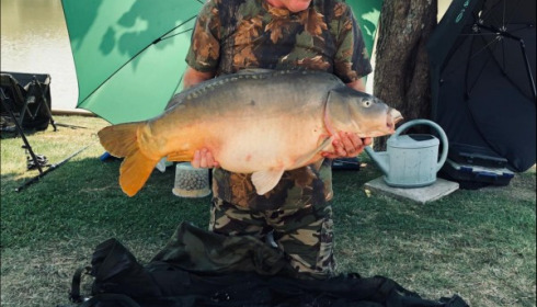 A carp from Landes, Michael OHara, Aug 2019