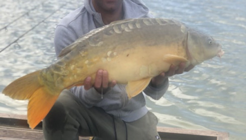A 26 lb 5 oz carp from Landes, Jemal Hussein, Mar 2018