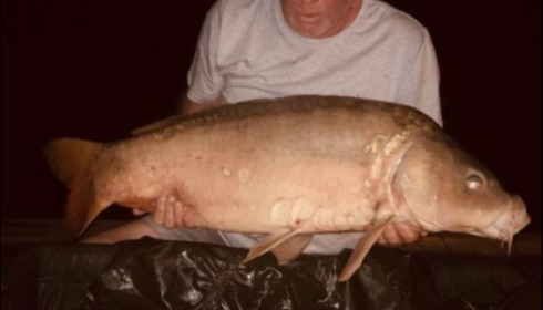 A carp from Landes, Mike Ohara, Sep 2019