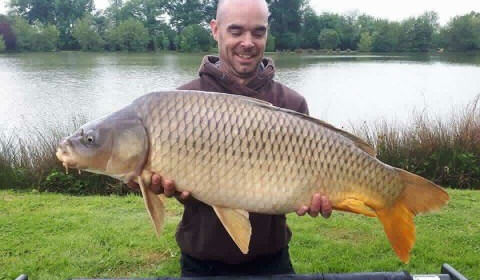 A carp from Landes, May 2018