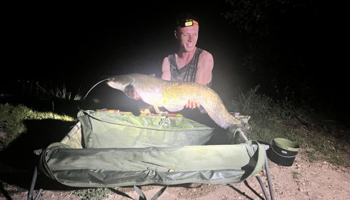 A fish from Laroussi, Aug 2023