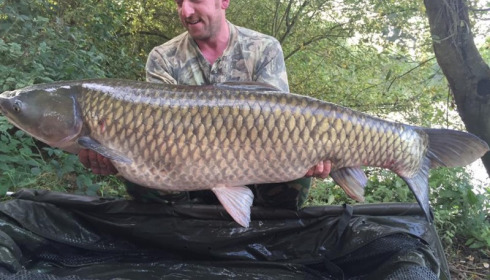 A 53 lb 2 oz grass carp from Laroussi, Carl Mincher, Sep 2016
