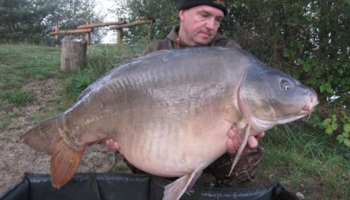 A 61 lb 3 oz carp from Laroussi, Roy Van Goor, Sep 2011