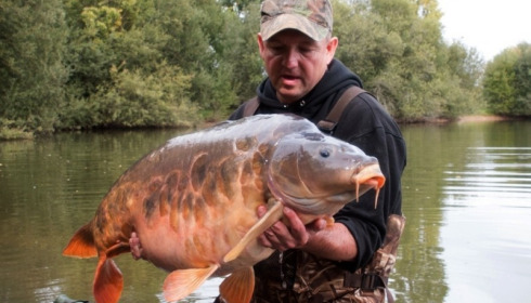 A 51 lb carp from Laroussi, Roy van Goor, Sep 2015
