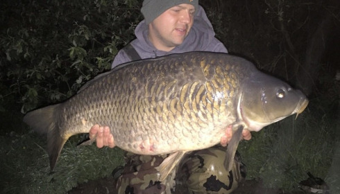 A carp from Laroussi, Carl Powell, Jun 2016