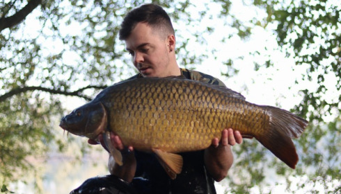 A 24 lb carp from Laroussi, James Litchfield , Oct 2017