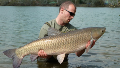 A 38 lb 5 oz grass carp from Laroussi, Matt Parker, Apr 2012