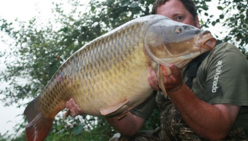 A 41 lb 10 oz carp from Laroussi, Sep 2008