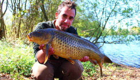 A carp from Laroussi, richard woods, Apr 2017