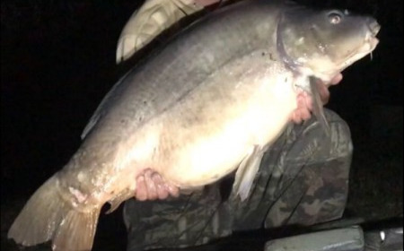 A 49 lb 4 oz carp from Laroussi, Phil  Hyatt , Aug 2018