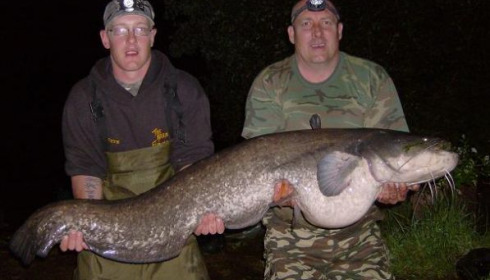A 50 lb 8 oz catfish from Laroussi, Jun 2008