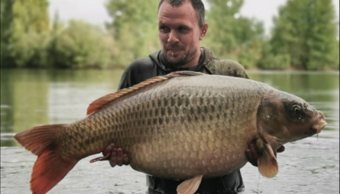 A 54 lb 8 oz carp from Laroussi, Sam Fyffe, Sep 2019