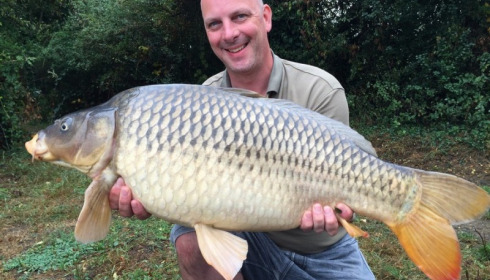 A 31 lb carp from Laroussi, Roger , Sep 2016