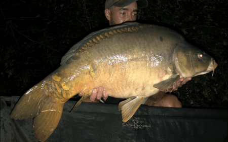 A 24 lb carp from Laroussi, Jamie Sokell, Aug 2018