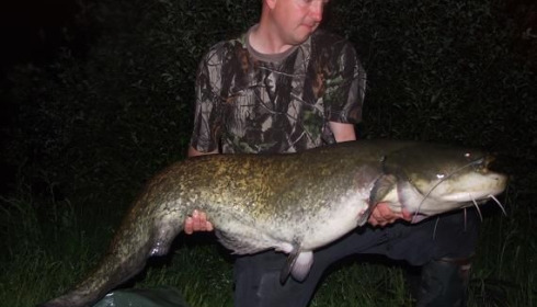 A 52 lb 8 oz catfish from Laroussi, PB, May 2007