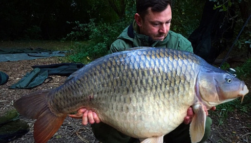 A 39 lb carp from Laroussi, Jamie North, Oct 2016