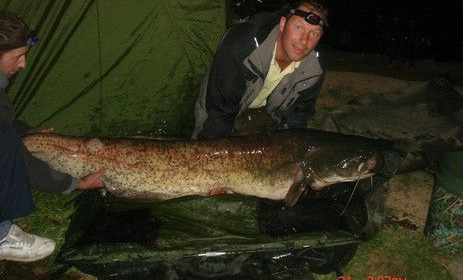 A 87 lb catfish from Laroussi, Sep 2008
