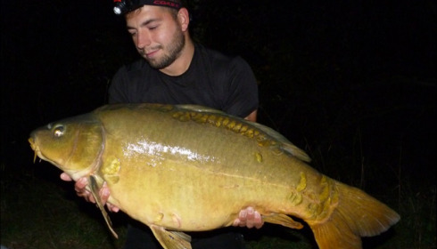 A carp from Laroussi, Ollie Handley, Aug 2019