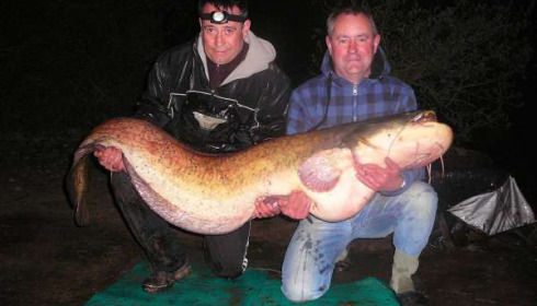 A 93 lb catfish from Laroussi, John Allen, Apr 2010