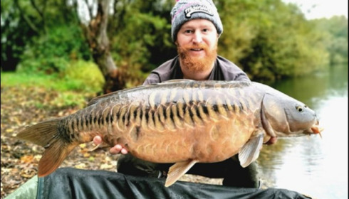 A carp from Laroussi, Luke Organ, Oct 2019