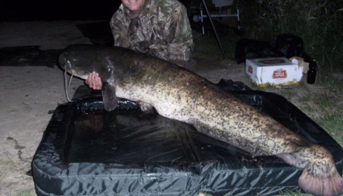 A 93 lb catfish from Laroussi, Jul 2010