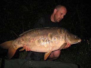 A 38 lb 10 oz carp from Laroussi, The stunning fully scaled mirror at his maximum weight , May 2007