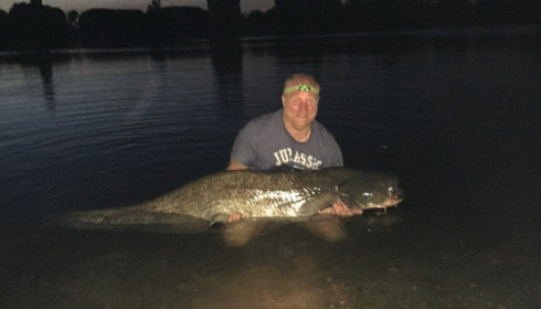 A 92 lb 9 oz catfish from Laroussi, Matthew Hindle, Aug 2015